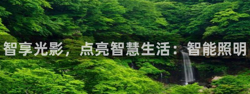 云顶国际服阵容