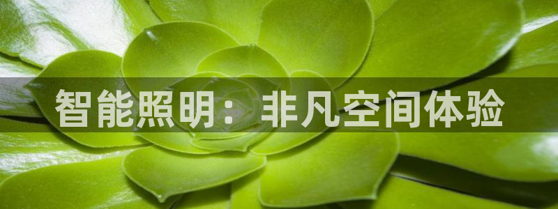 云顶集团董事长是谁
