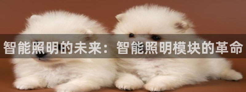 云顶集团中国公司