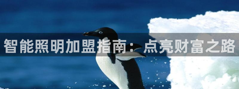 云顶国际服s9赛季什么时候出的