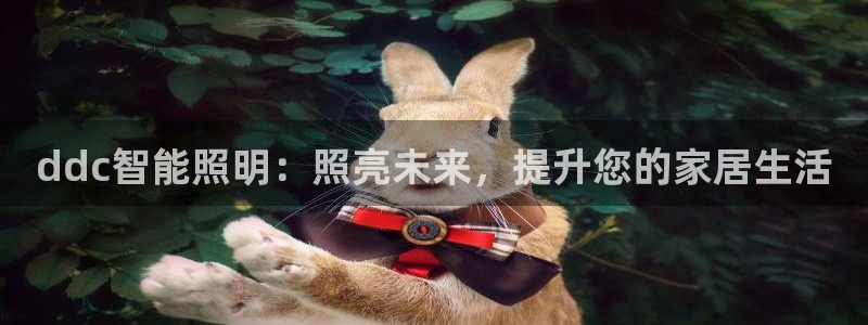 云顶国际服更新时间是几点