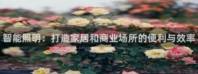 云顶集团官网电话号码