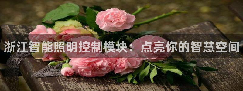 云顶国际网站是多少