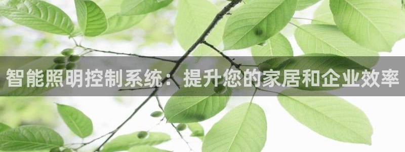 云顶国际官方网站下载手机版