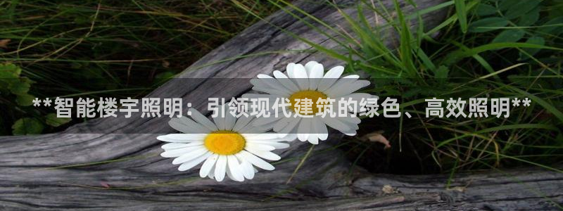 云顶国际服没有改名卡