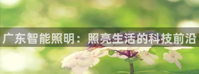 云顶国际网上平台是假的吗?