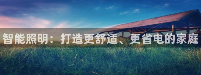 云顶集团有限公司简介概况