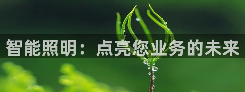 云顶国际会所在哪里