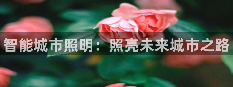 云顶国际酒店老板简介