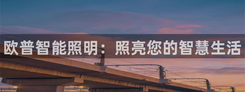 云顶国际是做什么的公司