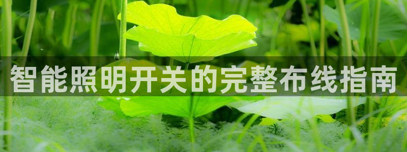 云顶国际官网app下载安卓