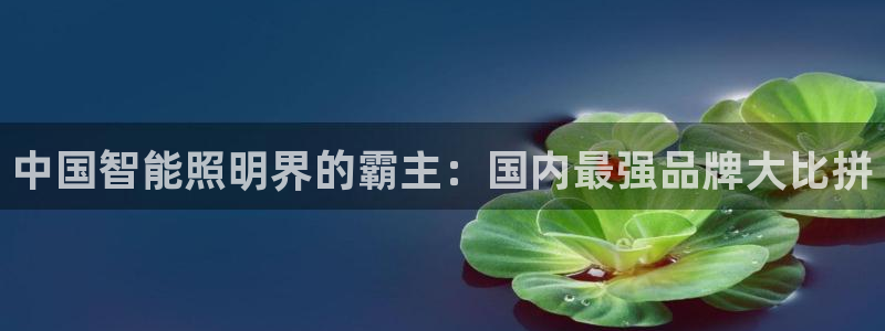 云顶国际商务会所