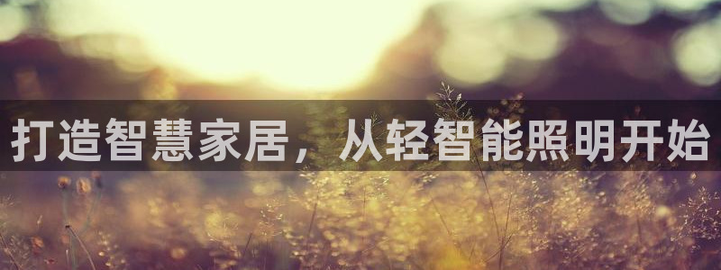 云顶手游国际服账号