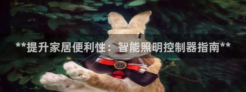 9559云顶国际
