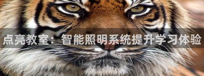 云顶电子游戏网站