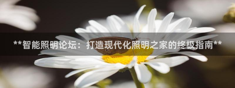云顶oce