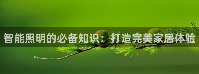 云顶国际提现不到账