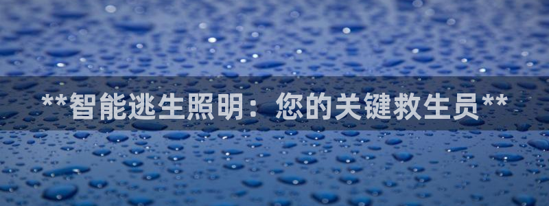云顶国际大厦地址