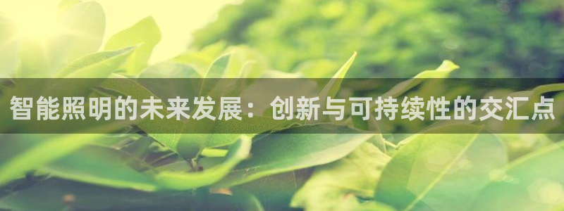 云顶国际电子游戏官网