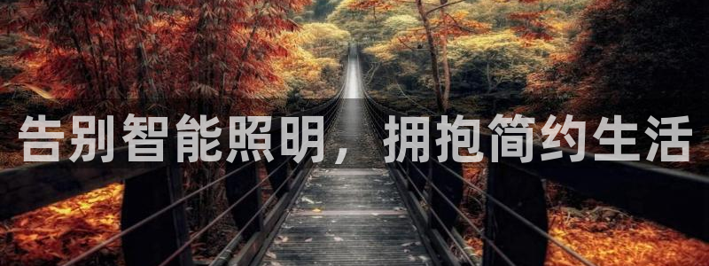 云顶国际公馆二手房