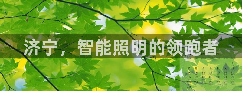 云顶国际官网下载手机版