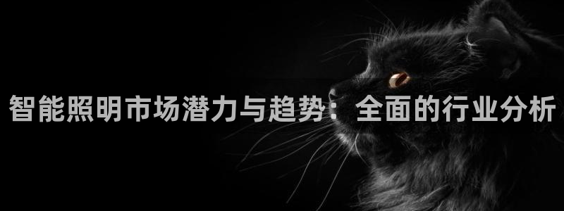 云顶国际电子游戏官网
