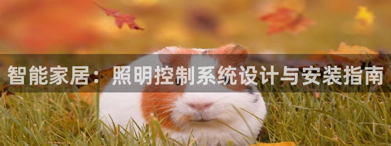 云顶国际太原