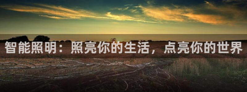 云顶国际yd333团体官网