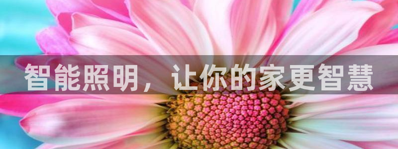云顶国际商业广场停车收费标准