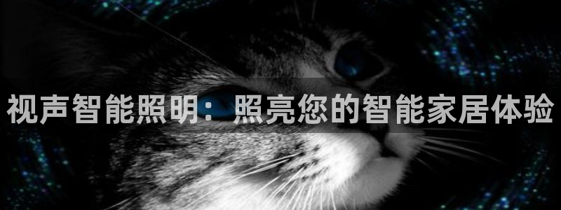 云顶国际二手房