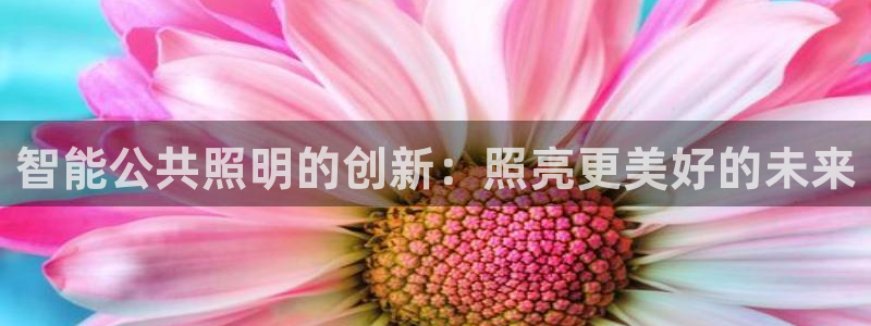 官网云顶电子游戏网站