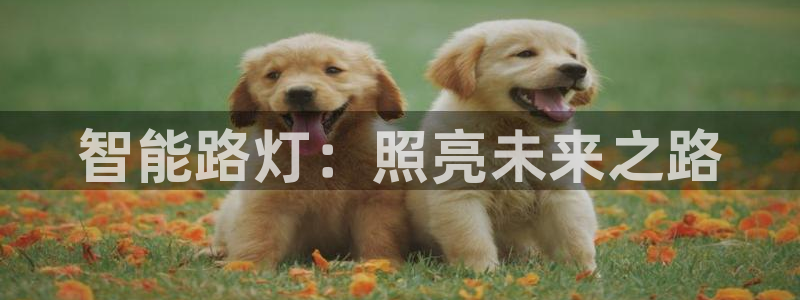9559云顶国际