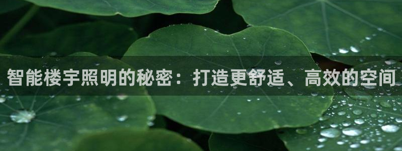 云顶国际大厦地址