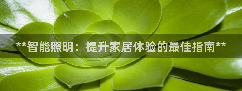 云顶国际在线购彩