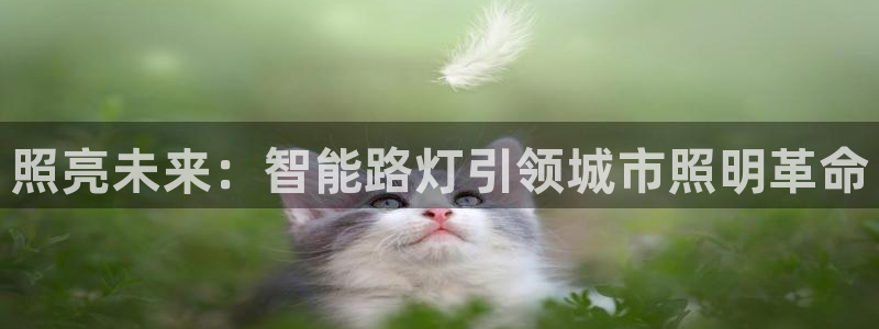 云顶国际app免费下载安卓