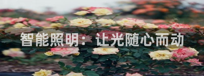 云顶最新线路检测
