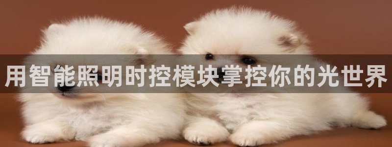 云顶国际是个什么平台游戏
