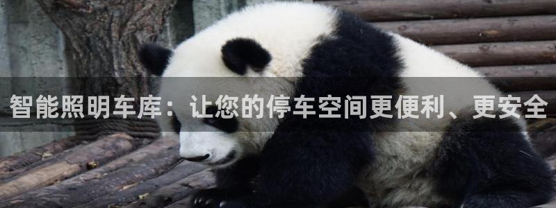 云顶国际培训中心