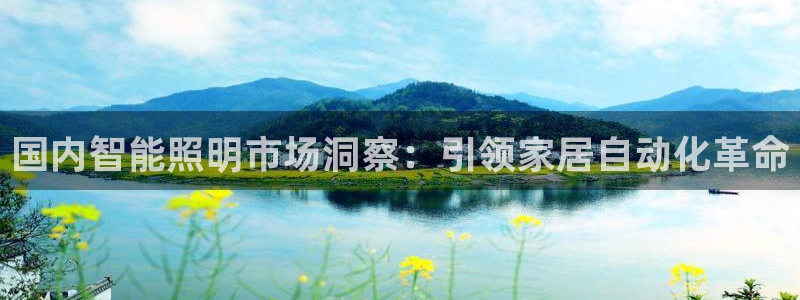 云顶国际怎么样
