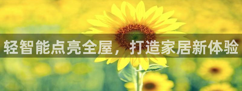 云顶国际yun588