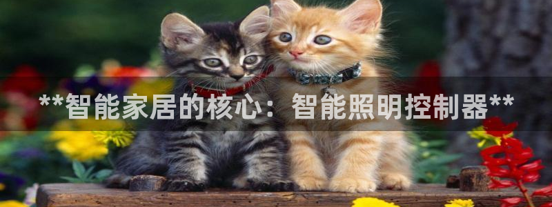 太原市云顶国际大酒店