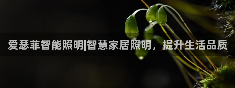 云顶集团王天才简介