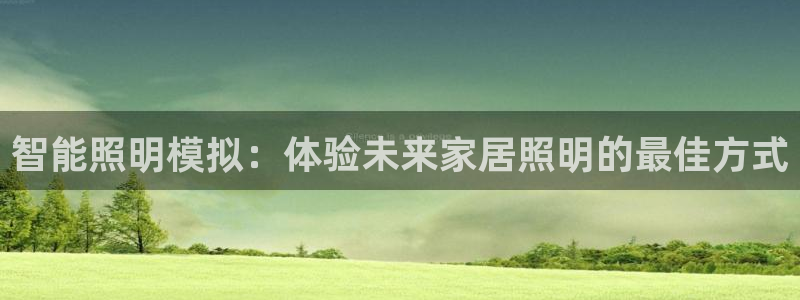 官网云顶电子游戏网站
