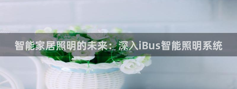 云顶国际服更新s11了吗