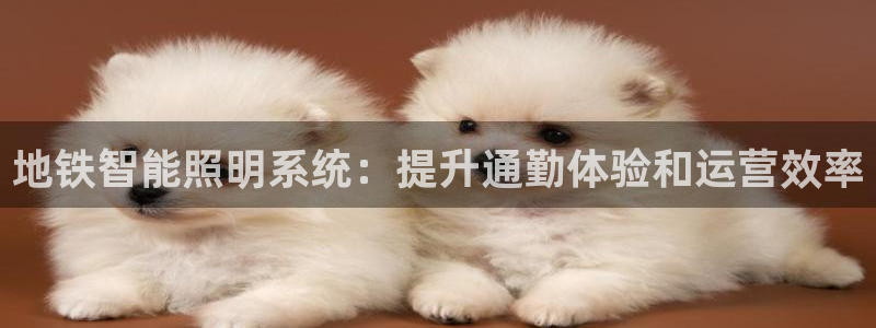 云顶国际(集团)开发实业有限公司