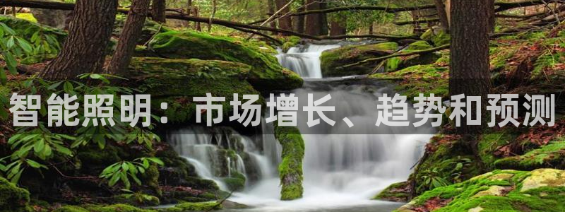云顶集团董事长林东简历图片