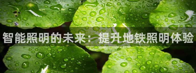 云顶国际服更新时间是多久
