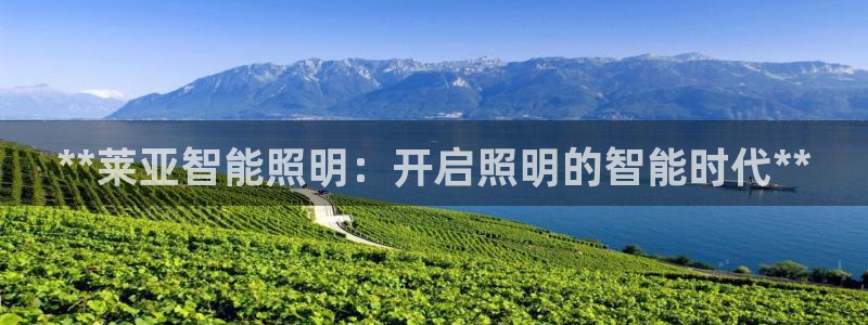 云顶国际商业广场怎么样