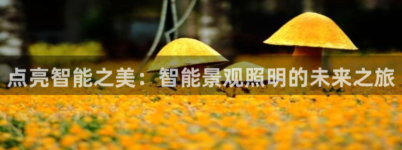 云顶400
