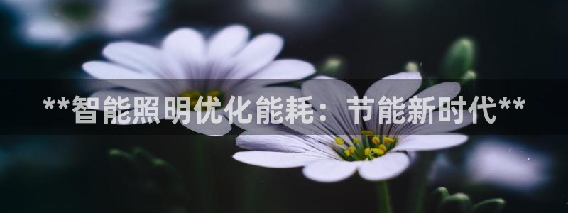 云顶国际俱乐部怎么样
